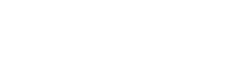 CCIC Wordmark Only CCIC white wordmark.